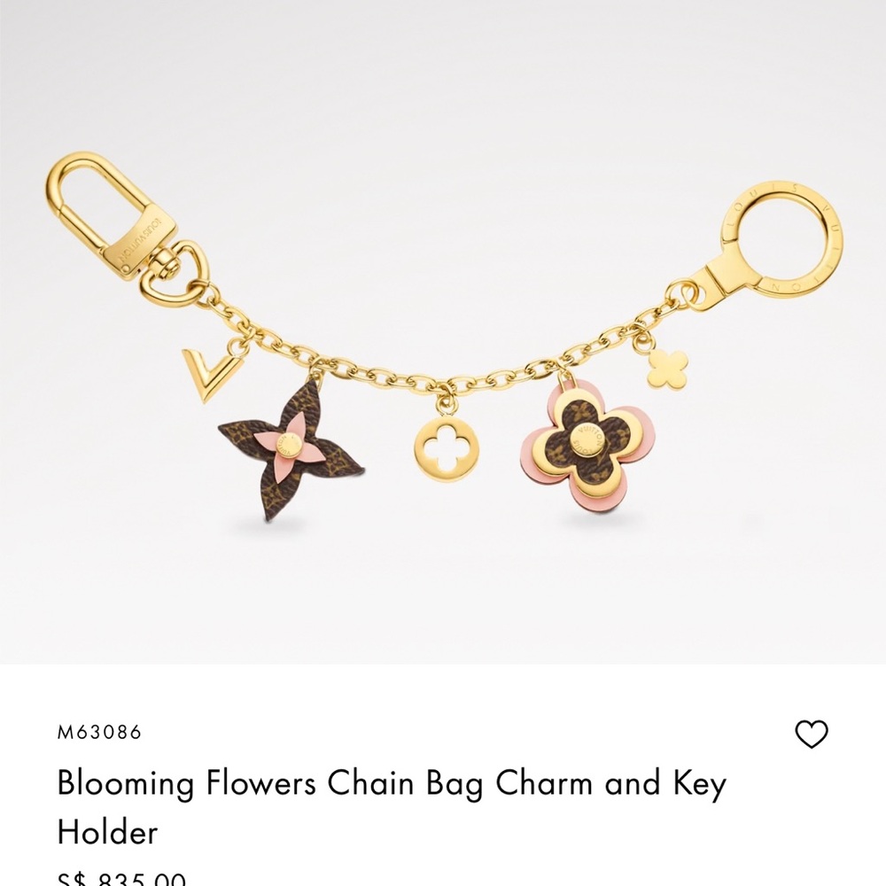 Louis Vuitton 
Charm